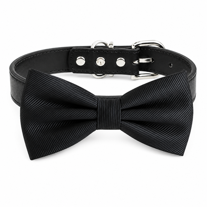 Black Ring Bearer Dog Bow Tie Collar with Black Vegan Leather Collar