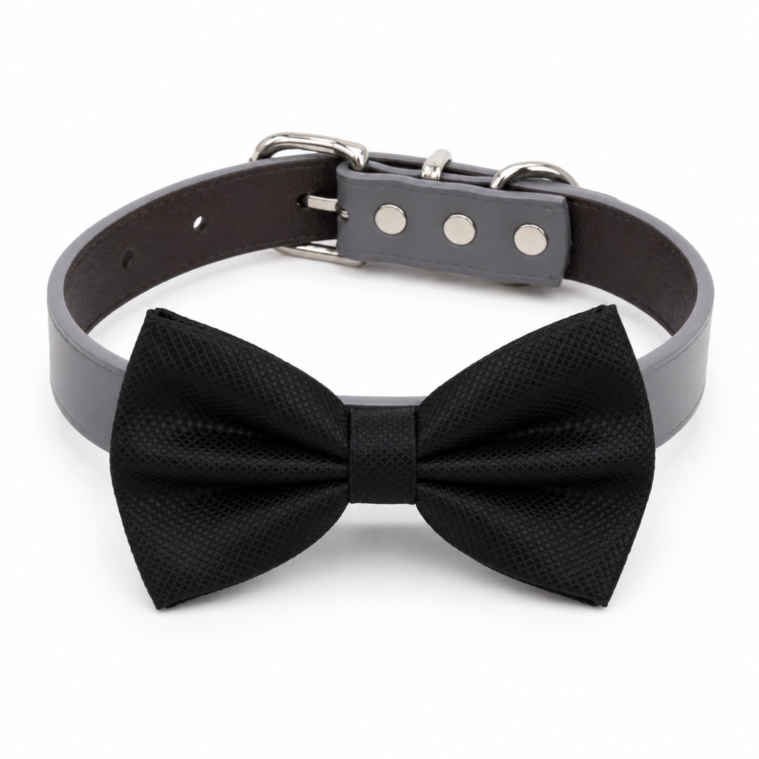 Black Ring Bearer Wedding Dog Bow Tie Collar with Adjustable Gray Vegan Leather Collar