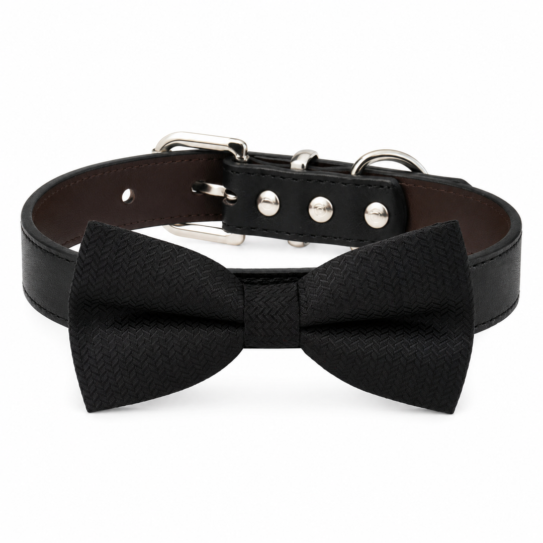 Black Ring Bearer Dog Bow Tie Collar with Black Vegan Leather Collar