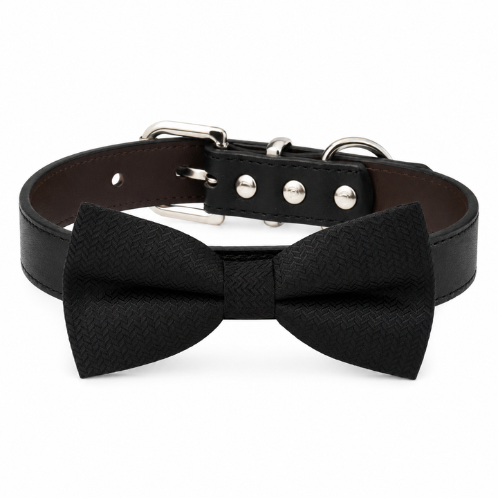 Black Ring Bearer Dog Bow Tie Collar with Black Vegan Leather Collar