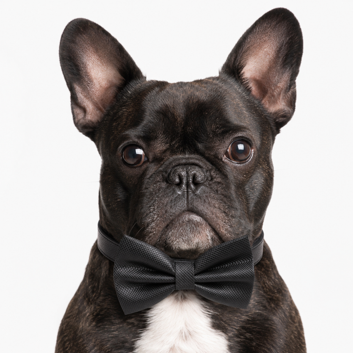 Black Ring Bearer Wedding Dog Bow Tie Collar with Wedding Ring Holder Ribbon and Adjustable Black Vegan Leather Collar