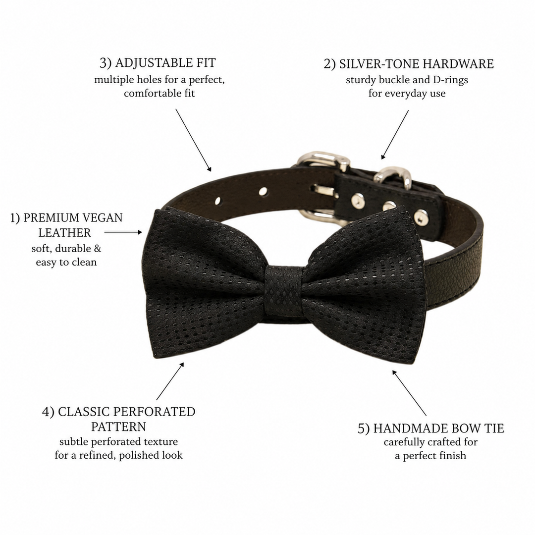 Black Ring Bearer Dog Bow Tie Collar with Black Textured Bow Tie and Black Vegan Leather Collar