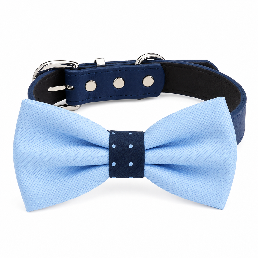 Light Blue Ring Bearer Wedding Dog Bow Tie Collar with Adjustable Navy Vegan Leather Collar