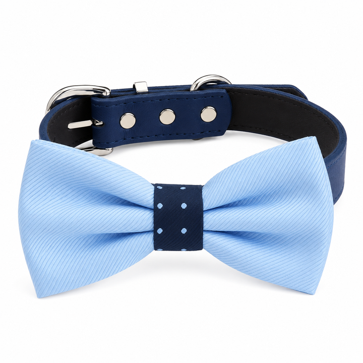 Light Blue Ring Bearer Wedding Dog Bow Tie Collar with Adjustable Navy Vegan Leather Collar