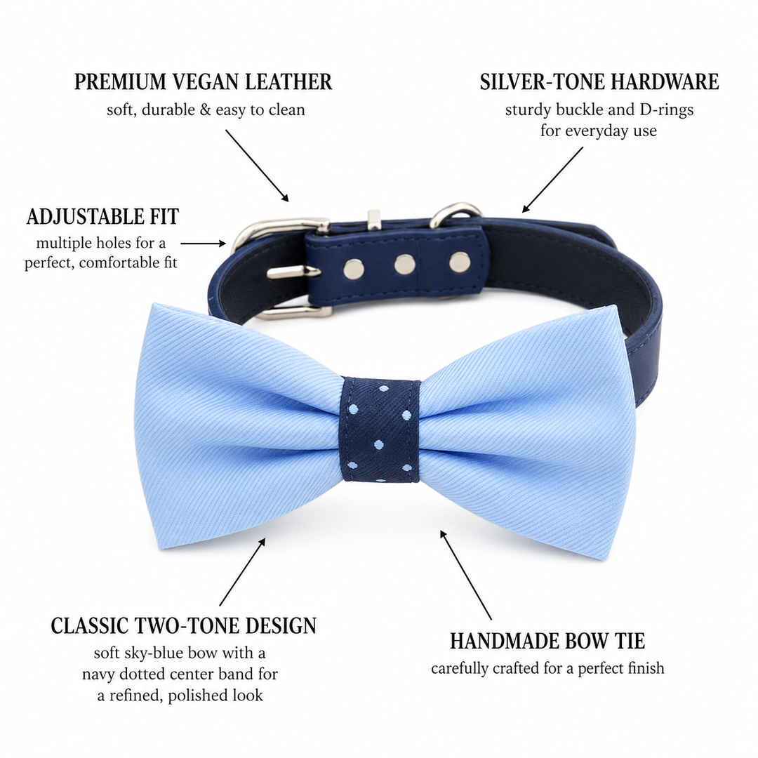 Light Blue Ring Bearer Wedding Dog Bow Tie Collar with Adjustable Navy Vegan Leather Collar