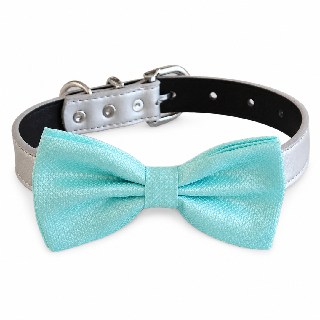 Mint Green Ring Bearer Wedding Dog Bow Tie Collar with Adjustable Silver Vegan Leather Collar