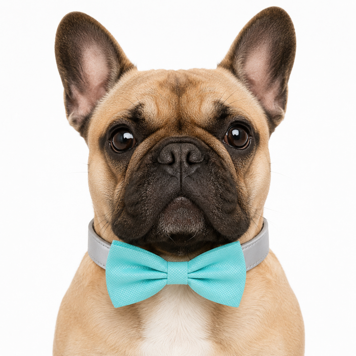 Mint Green Ring Bearer Wedding Dog Bow Tie Collar with Adjustable Silver Vegan Leather Collar