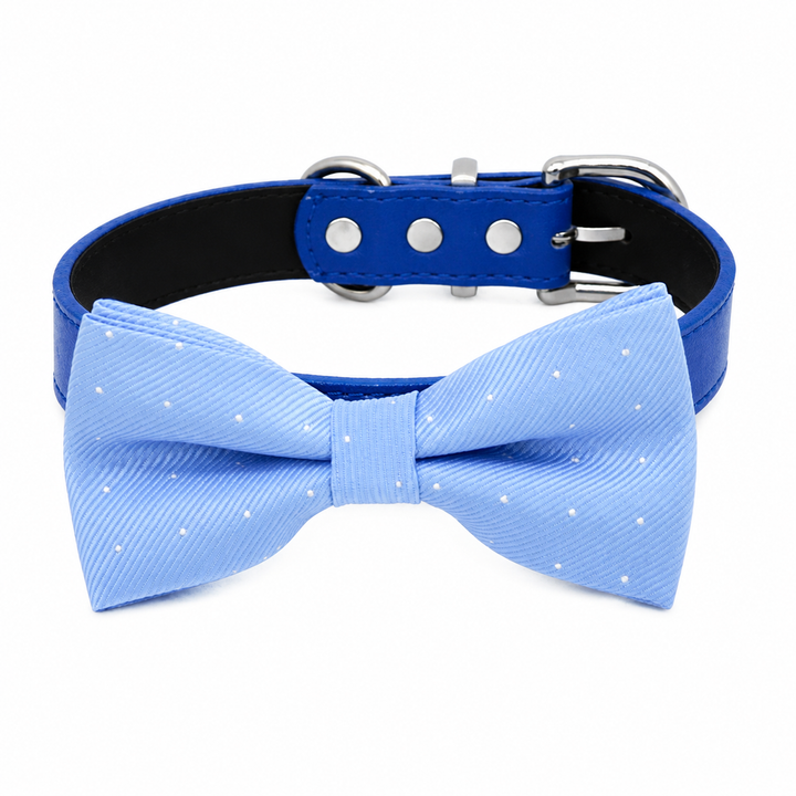 Light Blue Polka Dot Ring Bearer Wedding Dog Bow Tie Collar with Adjustable Royal Blue Vegan Leather Collar