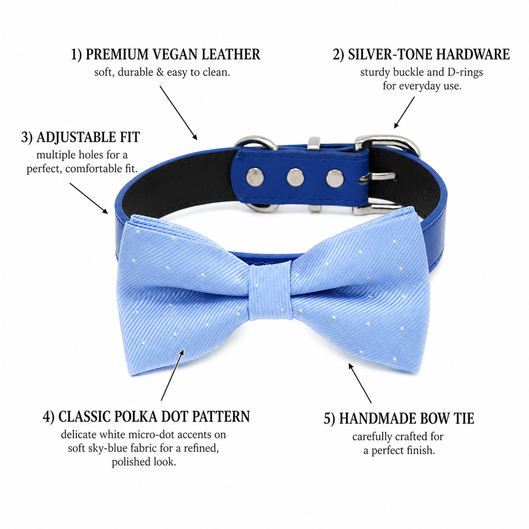 Light Blue Polka Dot Ring Bearer Wedding Dog Bow Tie Collar with Adjustable Royal Blue Vegan Leather Collar