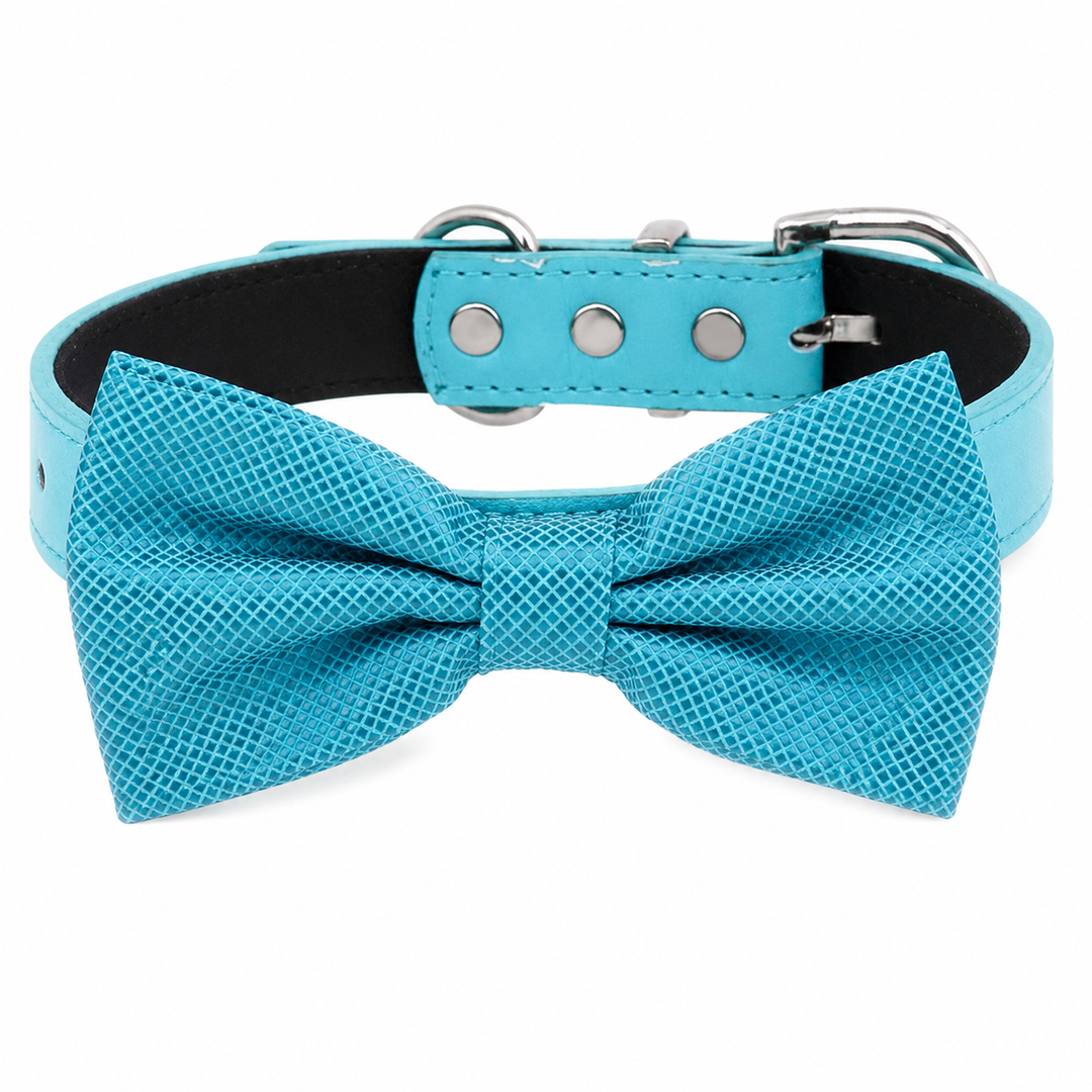Turquoise Ring Bearer Wedding Dog Bow Tie Collar with Adjustable Matching Vegan Leather Collar