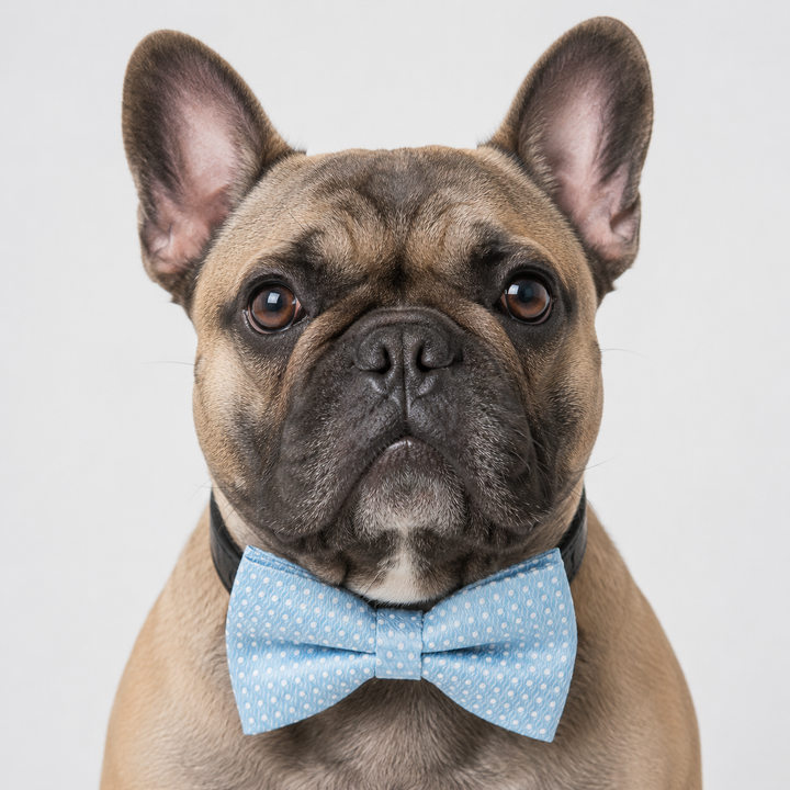 Light Blue Floral Ring Bearer Wedding Dog Bow Tie Collar with Adjustable Black Vegan Leather Collar