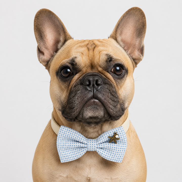 White and Light Blue Polka Dot Wedding Ring Bearer Dog Bow Tie Collar with Starfish Charm and Adjustable Ivory Vegan Leather Collar