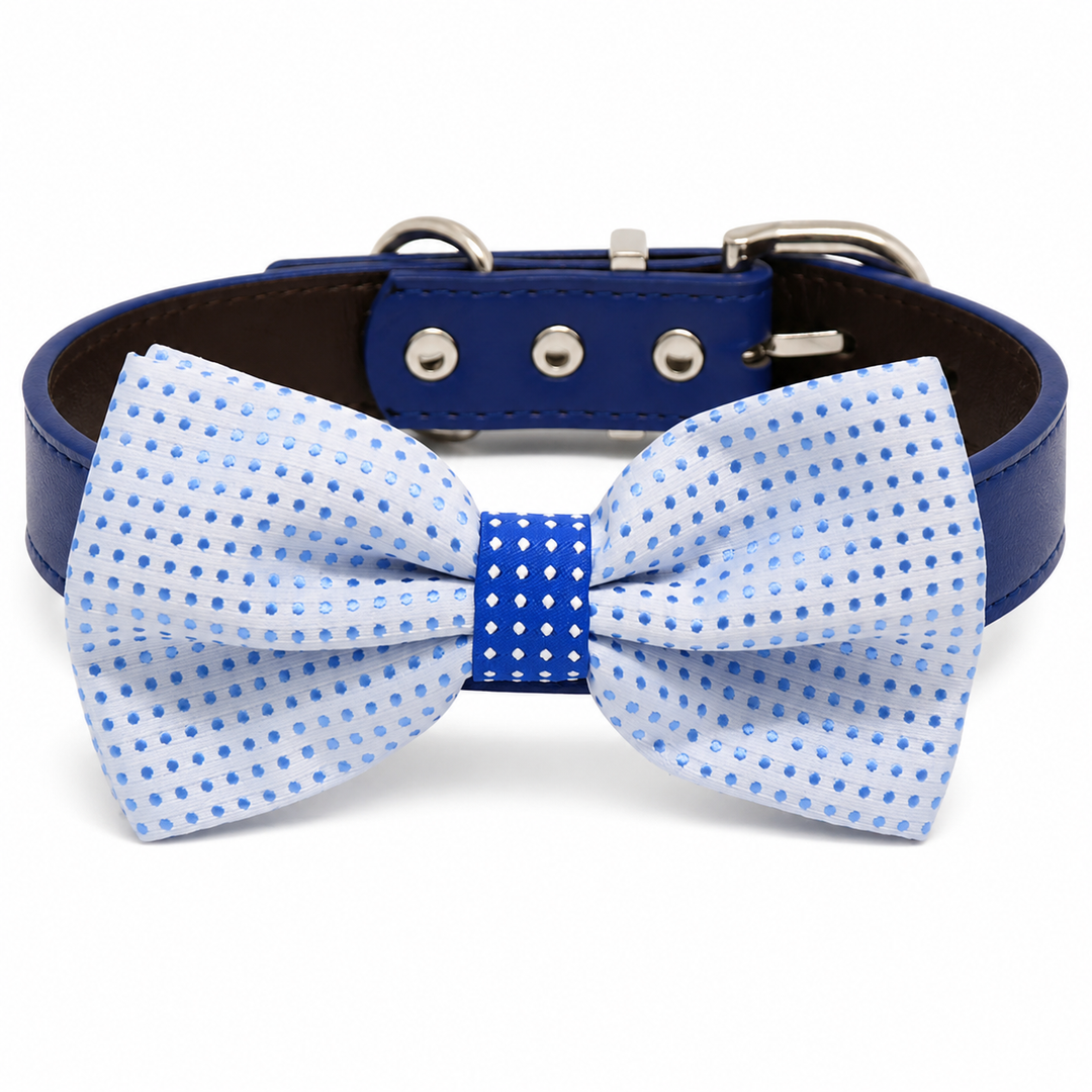 White and Light Blue Polka Dot Ring Bearer Wedding Dog Bow Tie Collar with Adjustable Royal Blue Vegan Leather Collar
