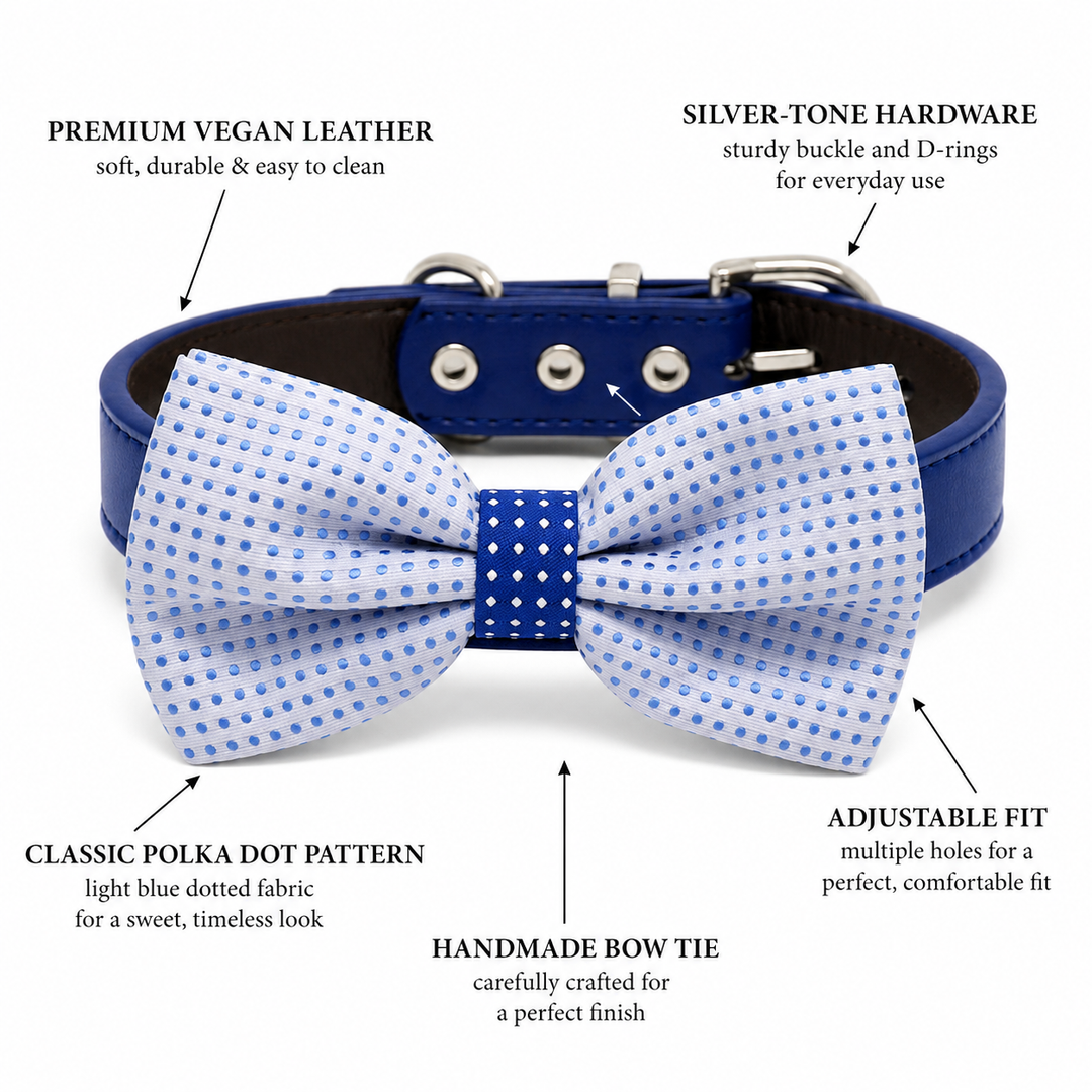 White and Light Blue Polka Dot Ring Bearer Wedding Dog Bow Tie Collar with Adjustable Royal Blue Vegan Leather Collar