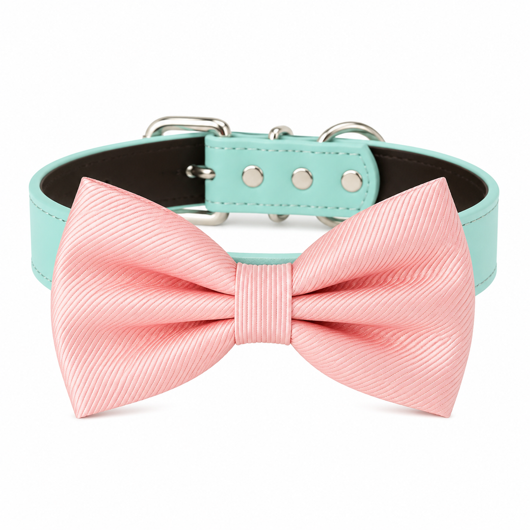 Blush Pink Ring Bearer Wedding Dog Bow Tie Collar with Adjustable Mint Vegan Leather Collar