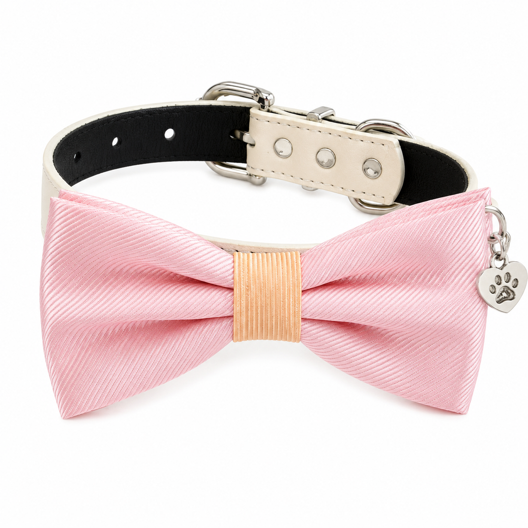 Pink Ring Bearer Wedding Dog Bow Tie Collar with Paw Heart Charm and Adjustable Ivory Vegan Leather Collar