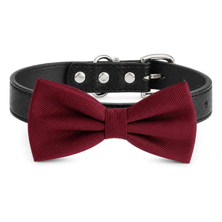Burgundy Ring Bearer Wedding Dog Bow Tie Collar with Adjustable Black Vegan Leather Collar
