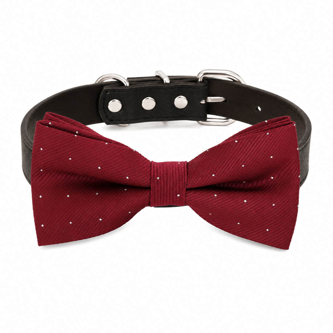 Burgundy Ring Bearer Wedding Dog Bow Tie Collar with Adjustable Black Vegan Leather Collar