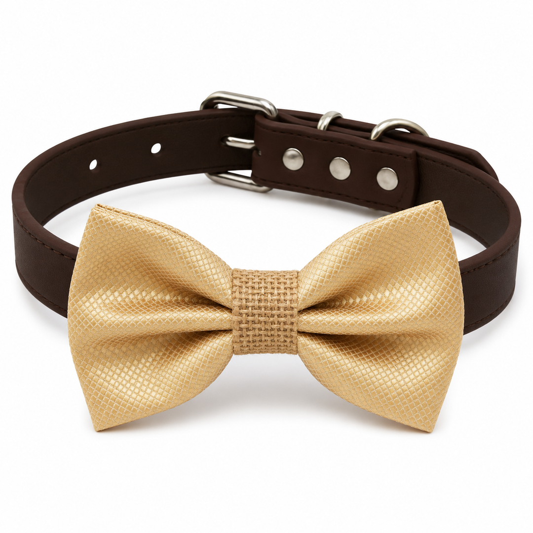 Champagne Ring Bearer Wedding Dog Bow Tie Collar with Adjustable Brown Vegan Leather Collar