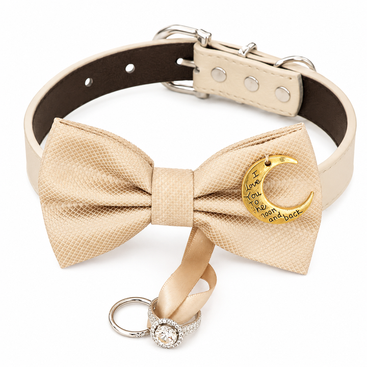 Champagne Moon Charm Ring Bearer Dog Bow Tie Collar with Ring Holder Ribbon & Adjustable Ivory Vegan Leather Collar