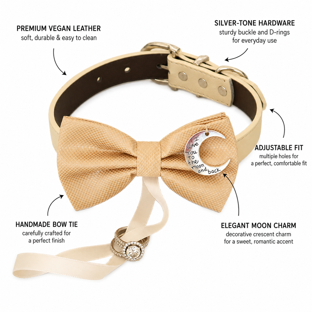 Champagne Moon Charm Ring Bearer Dog Bow Tie Collar with Attached Ring Holder Ribbon & Adjustable Ivory Vegan Leather Collar