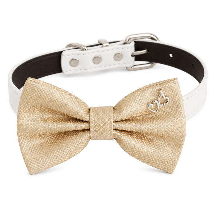 Champagne Double Heart Charm Ring Bearer Dog Bow Tie Collar with Adjustable White Vegan Leather Collar