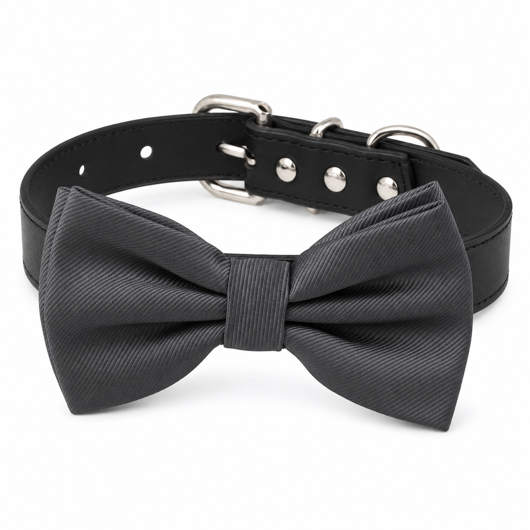 Solid Charcoal Ring Bearer Gray Dog Bow Tie Collar with Adjustable Black Vegan Leather Collar