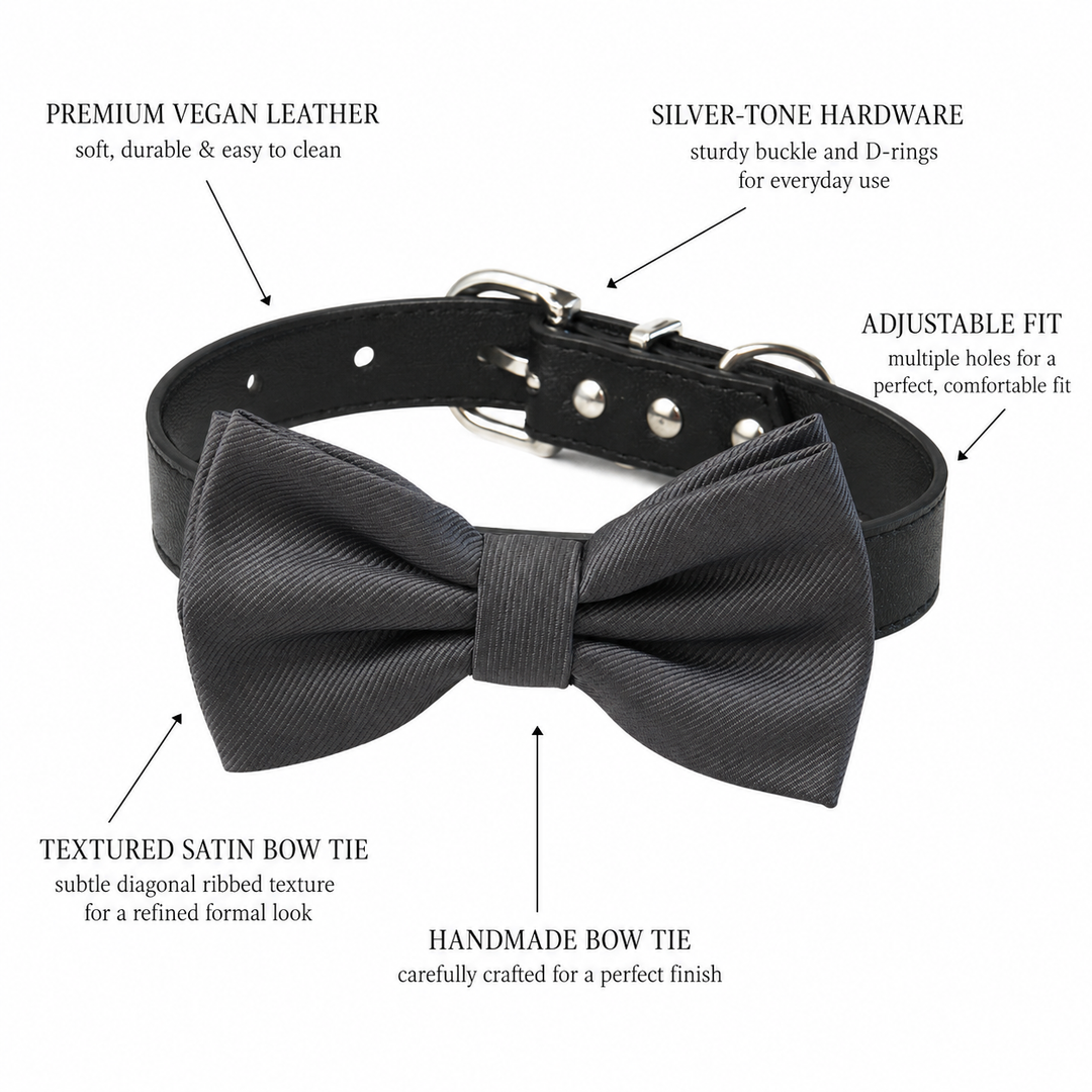 Solid Charcoal Ring Bearer Gray Dog Bow Tie Collar with Adjustable Black Vegan Leather Collar
