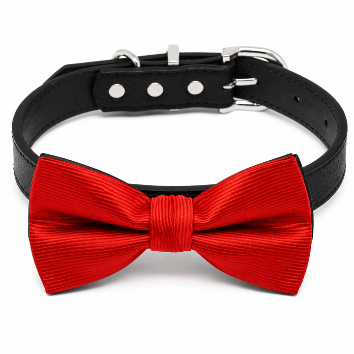 Classic Red Ring Bearer Dog Bow Tie Collar with Adjustable Black Vegan Leather Collar