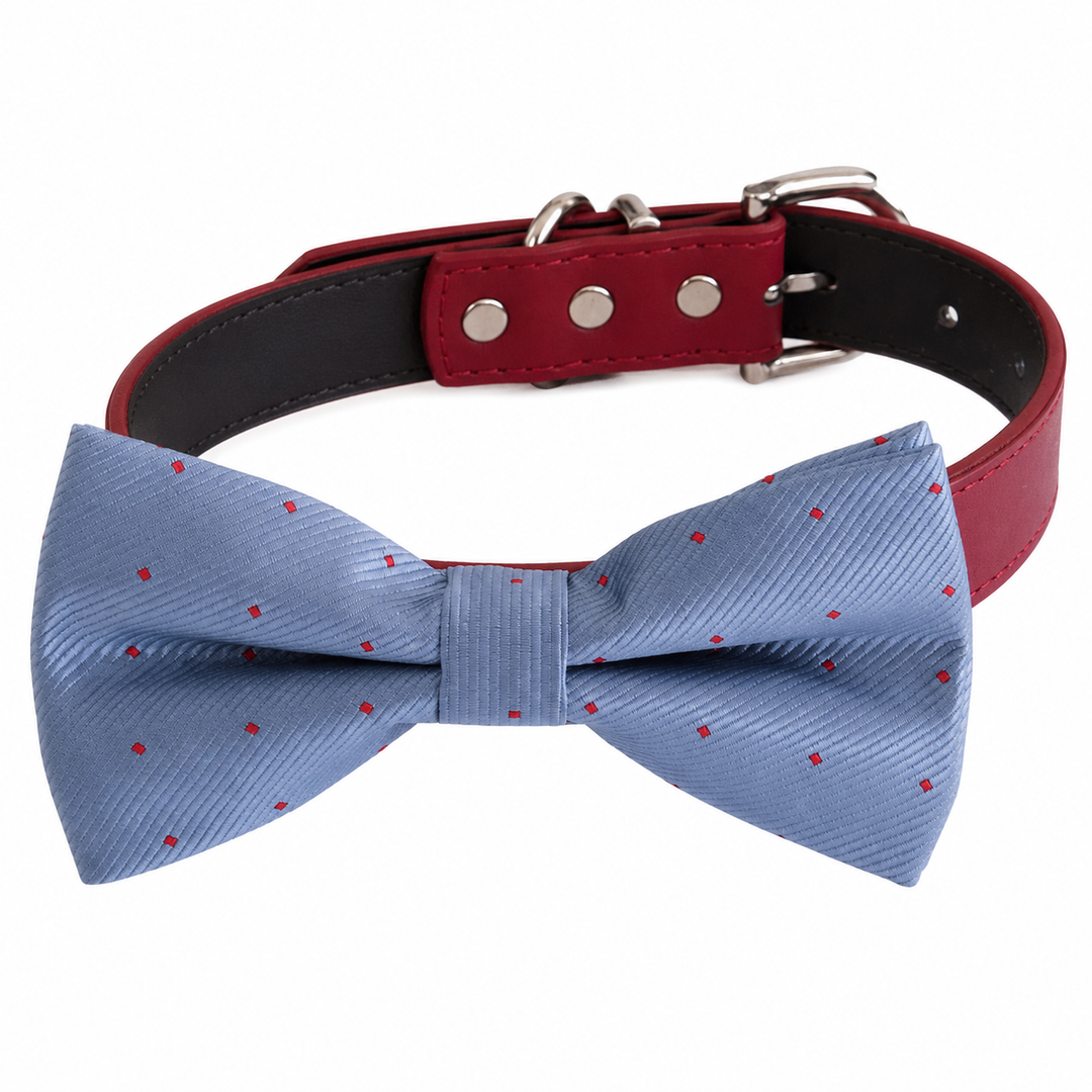 Dusty Blue Ring Bearer Dog Bow Tie Collar with Adjustable Red Vegan Leather Collar