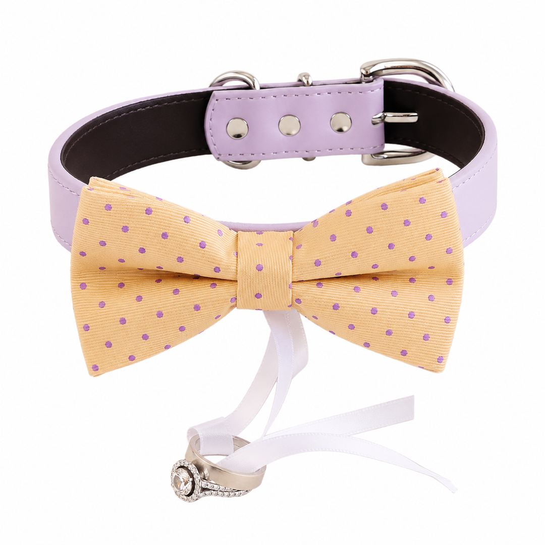 Pastel Yellow Ring Bearer Dog Bow Tie Collar with Lilac Polka Dots and Adjustable Lilac Vegan Leather Collar