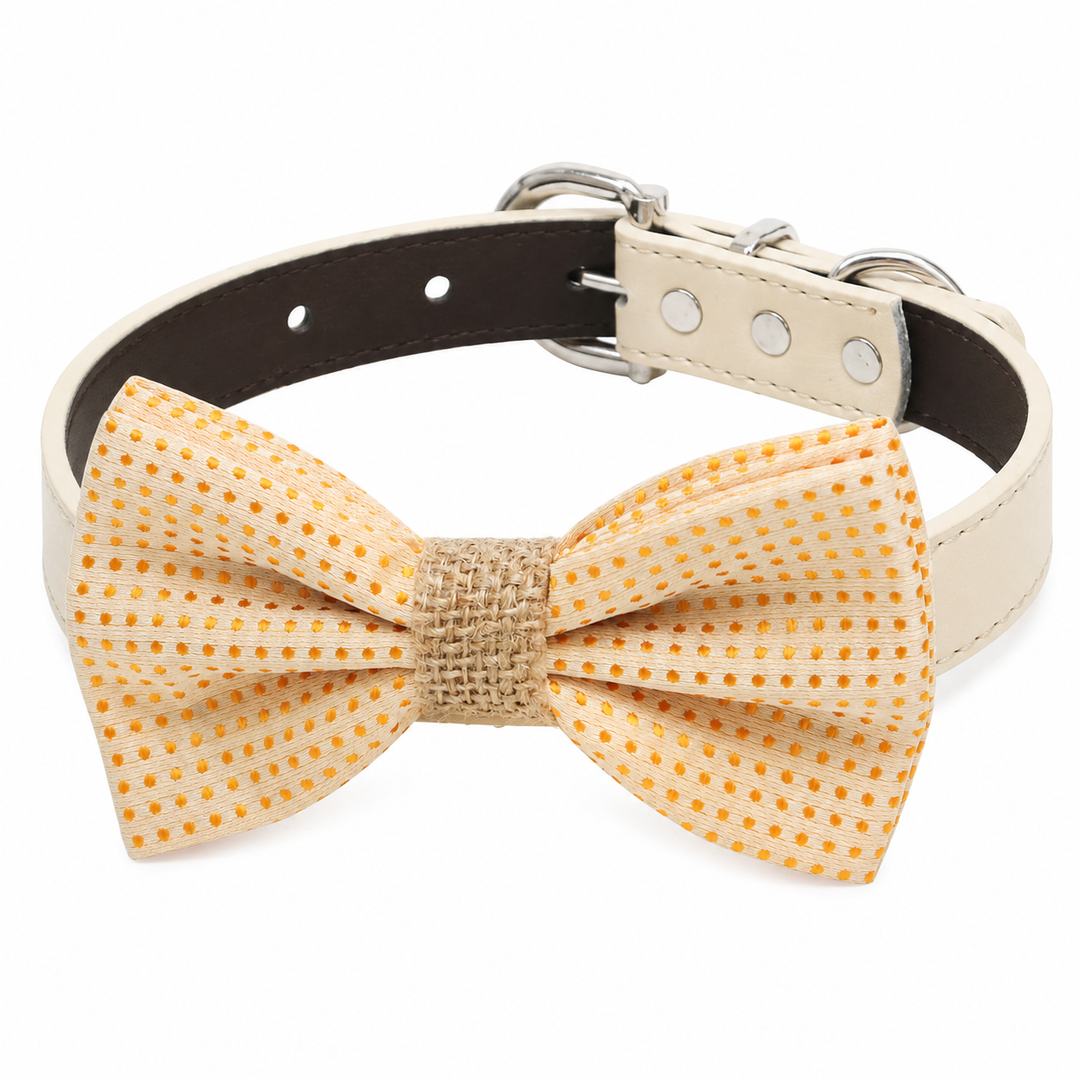 Cream and Orange Polka Dot Ring Bearer Dog Bow Tie Collar with Adjustable Cream Vegan Leather Collar