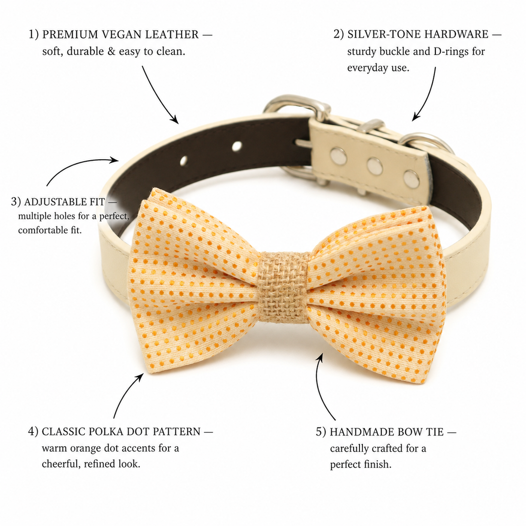 Cream and Orange Polka Dot Ring Bearer Dog Bow Tie Collar with Adjustable Cream Vegan Leather Collar