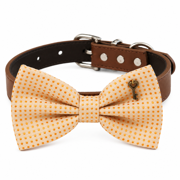 Cream and Orange Polka Dot Ring Bearer Dog Bow Tie Collar with Antique Heart Key Charm and Adjustable Brown Vegan Leather Collar