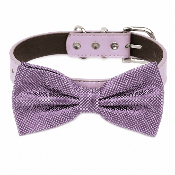 Lavender Ring Bearer Dog Bow Tie Collar with Adjustable Lavender Vegan Leather Collar