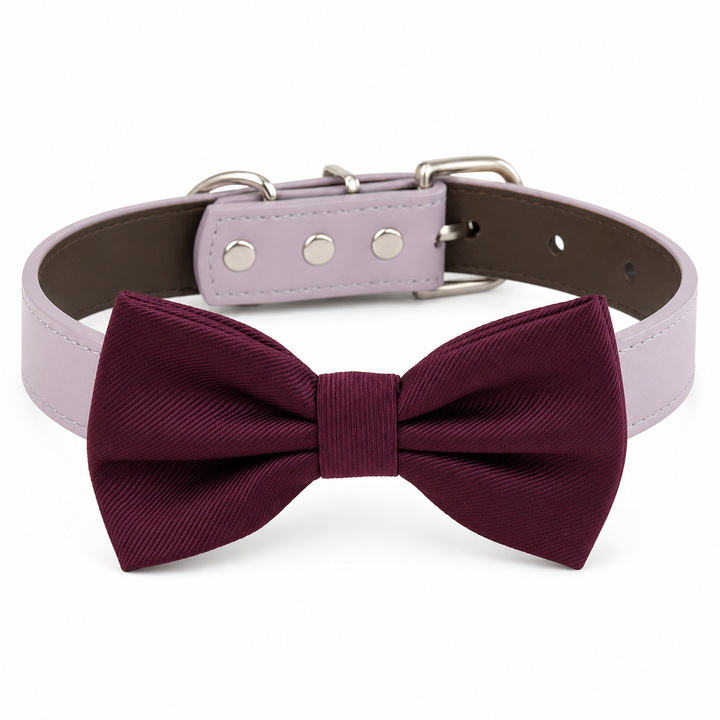 Burgundy Ring Bearer Dog Bow Tie Collar with Adjustable Lavender Vegan Leather Collar