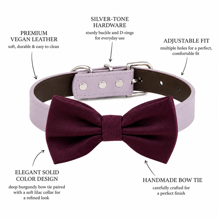 Burgundy Ring Bearer Dog Bow Tie Collar with Adjustable Lavender Vegan Leather Collar
