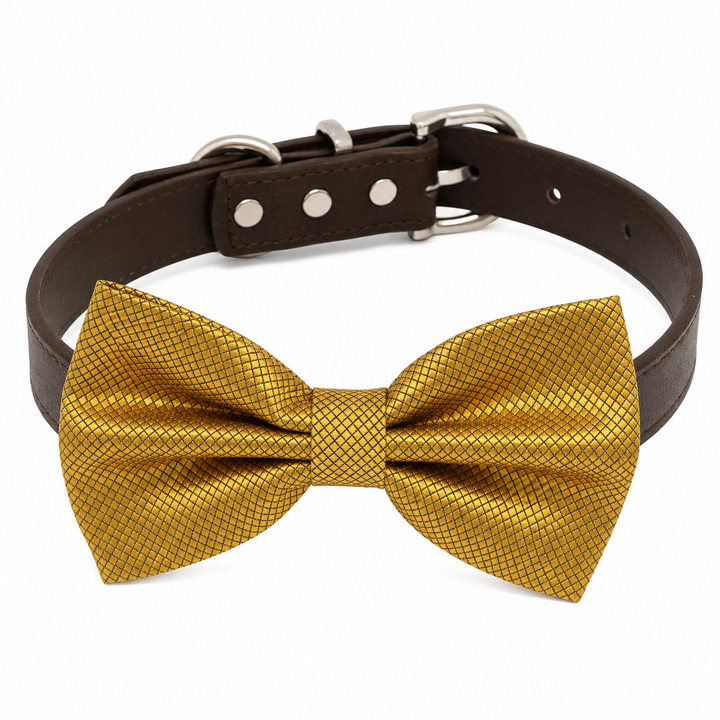 Gold Ring Bearer Dog Bow Tie Collar with Adjustable Brown Vegan Leather Collar