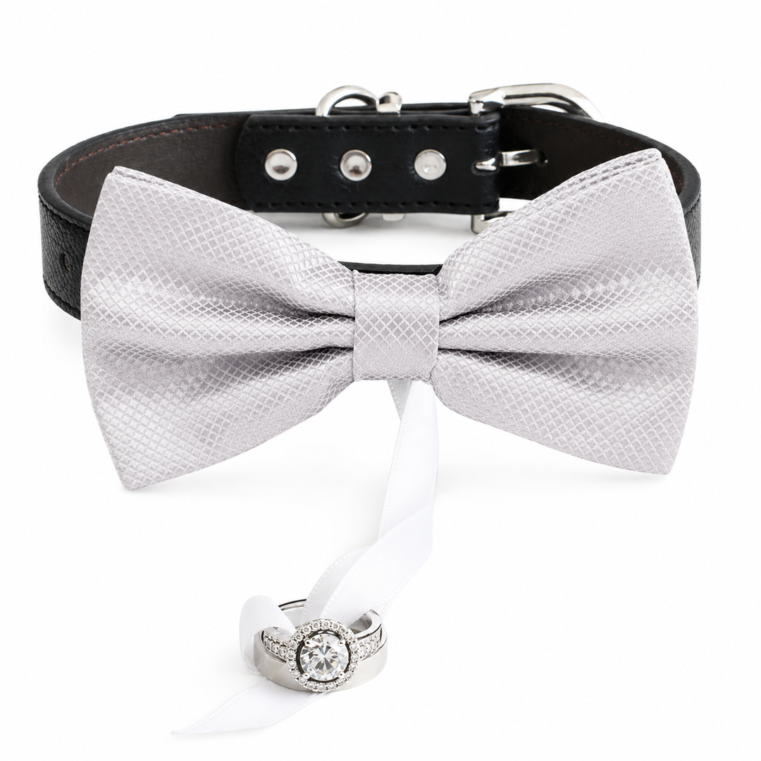 Silver Gray Ring Bearer Dog Bow Tie Collar with Wedding Ring and Adjustable Black Vegan Leather Collar