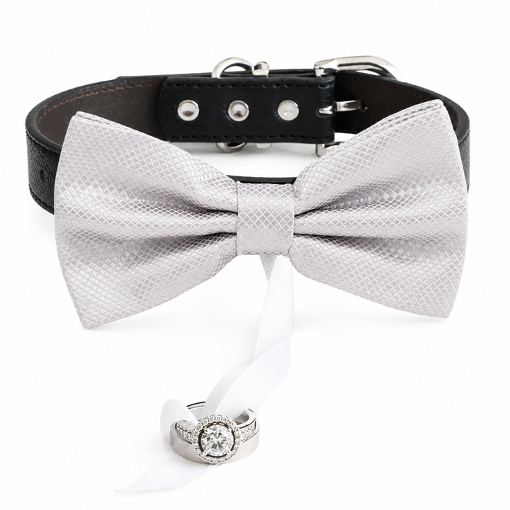 Silver Gray Ring Bearer Dog Bow Tie Collar with Wedding Ring and Adjustable Black Vegan Leather Collar
