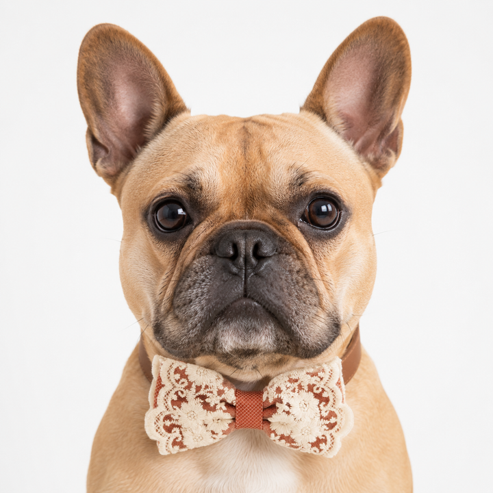 Dusty Rose Lace Wedding Dog Bow Tie Collar with Ivory Floral Embroidery