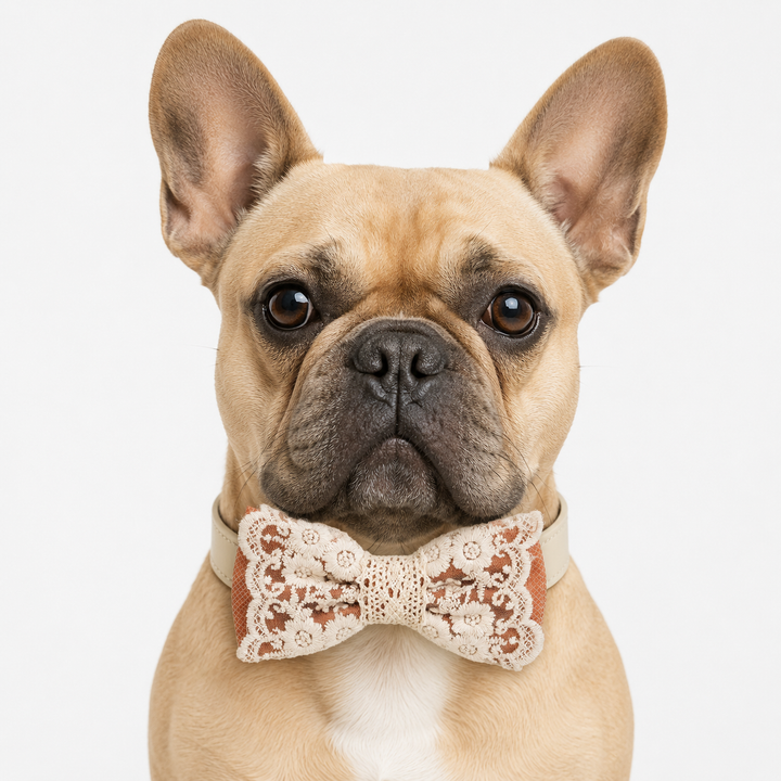 Soft Terracotta Lace Wedding Dog Bow Tie Collar with Ivory Floral Embroidery