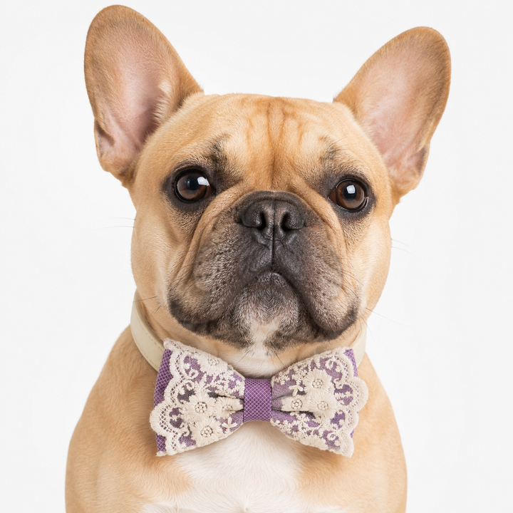 Purple Lace Wedding Dog Bow Tie Collar with Ivory Floral Embroidery