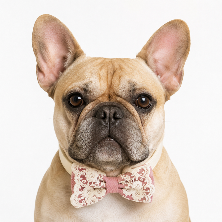 Soft Pink Lace Wedding Dog Bow Tie Collar with Ivory Floral Embroidery