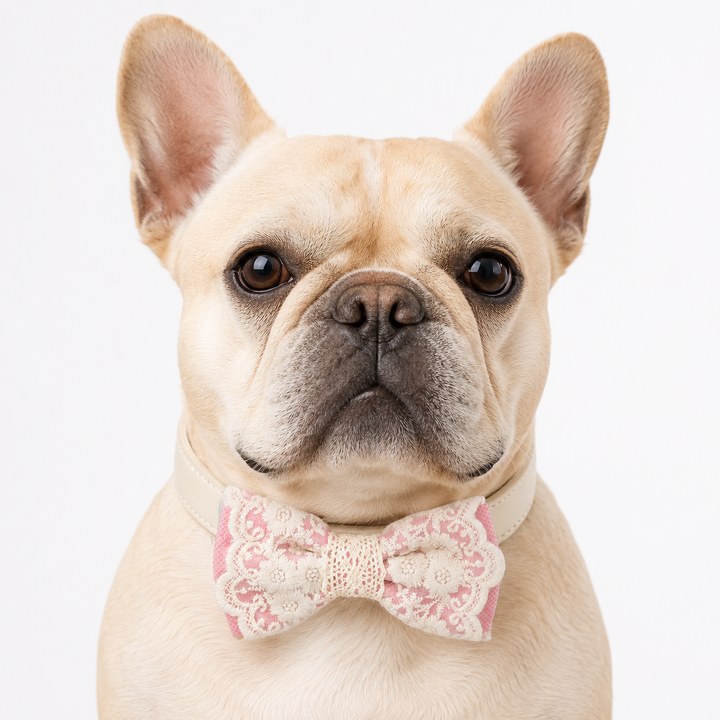 Pink Lace Wedding Dog Bow Tie Collar with Ivory Floral Embroidery