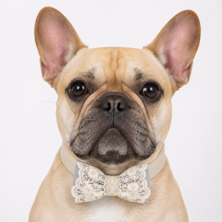 Dusty Blue Floral Lace Dog Bow Tie Collar for Weddings & Elegant Pet Style