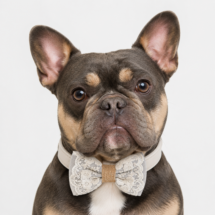 Silver Gray Rustic Floral Lace Dog Bow Tie Collar for Weddings & Ring Bearer Pets
