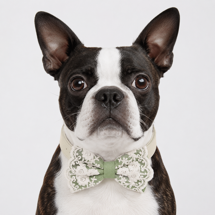 Sage Green Floral Lace Dog Bow Tie Collar for Weddings & Elegant Pet Style