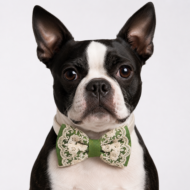 Olive Green Ring Bearer Dog Bow Tie Collar with Floral Lace Embroidery