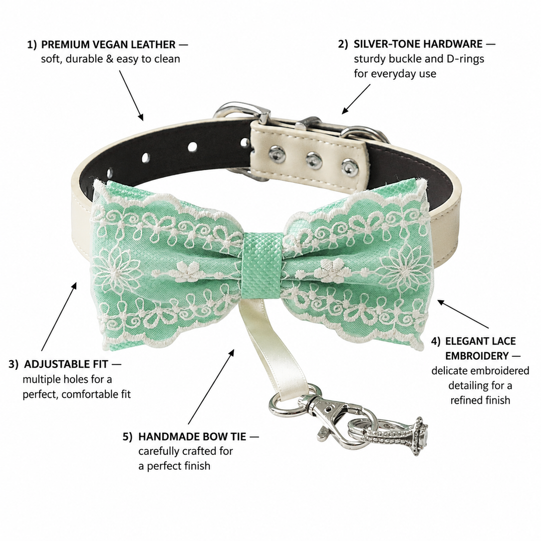 Mint Green Ring Bearer Dog Bow Tie Collar with Vintage Lace Embroidery